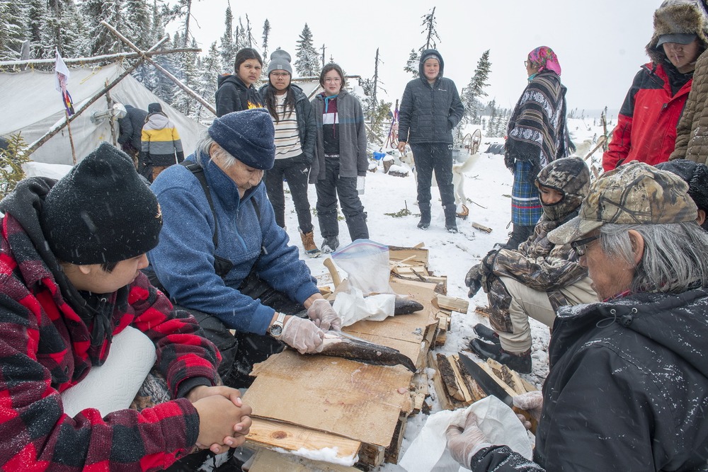 44 Moteskano 2020_0318©Enviro Foto_resize.jpg 44 Moteskano 2020_0318©Enviro Foto_resize.jpg