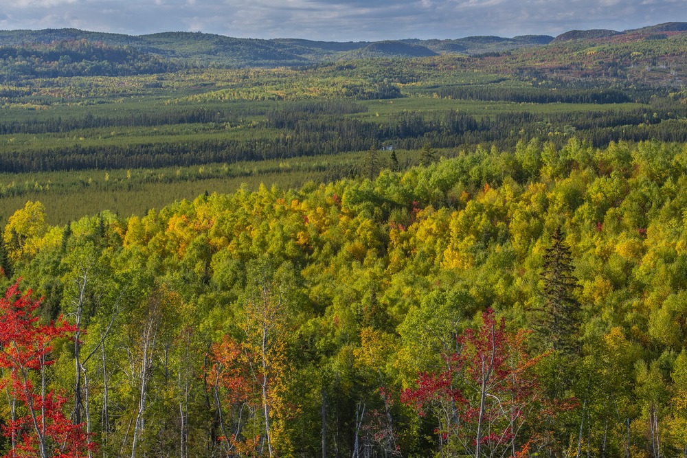 62 Territoire Wemotaci_5588©Enviro Foto_resize.jpg 62 Territoire Wemotaci_5588©Enviro Foto_resize.jpg