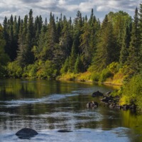 61 Territoire Wemotaci_5565©Enviro Foto_resize.jpg