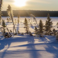 46 Moteskano 2020_0476©Enviro Foto_resize.jpg