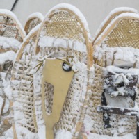 42 Moteskano 2020_0062©Enviro Foto_resize.jpg