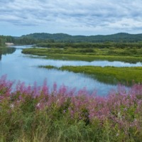 64 Wemotaci Rivière St-Maurice_5119©Enviro Foto_resize.jpg