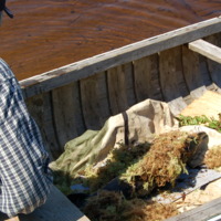 4 peche au filet a l'esturgeon (171).jpg