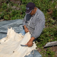 7 transformation de la peau d'orignal (101).jpg