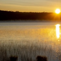 35 Manawan_9985©Enviro Foto_resize.jpg