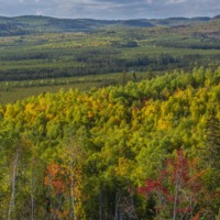 62 Territoire Wemotaci_5588©Enviro Foto_resize.jpg