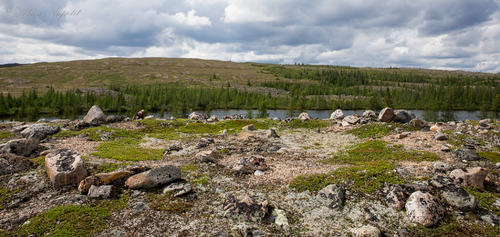 Vestiges d'un campement au Mushuau-nipi 3.jpg