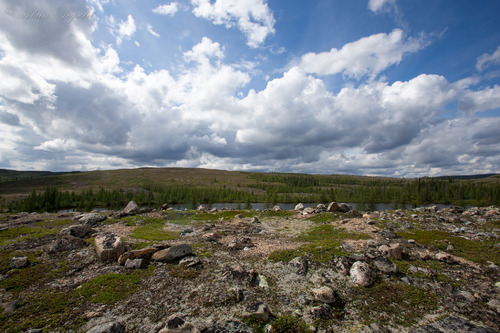 Vestiges d'un campement au Mushuau-nipi 2.jpg