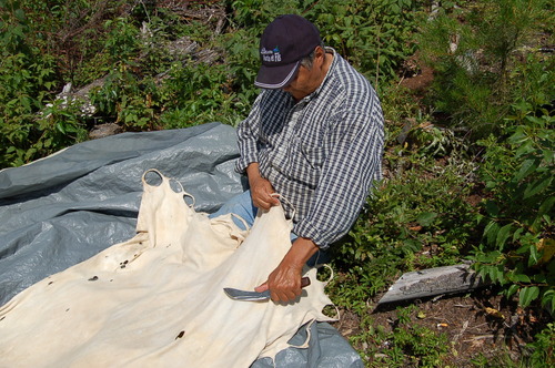 Roskekahakaniwiw mosowan | Assouplissement de la peau d’orignal