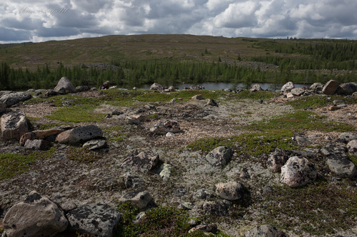 Vestiges d'un campement, Mushuau-nipi 6.jpg