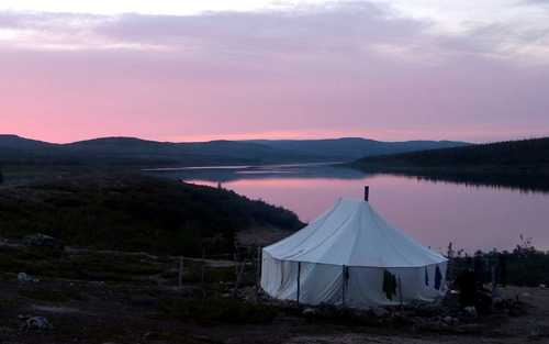 Tente rosée, campement Mushau nipi