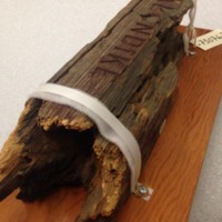 Klondike Townsite Wooden Post - Lateral View
