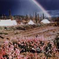 R.T. McCurdy&#039;s camp, Dawson City, Yukon.