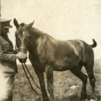 Capt. Raley with his horse