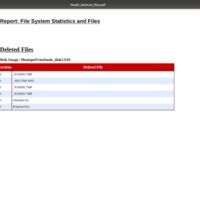 Deleted files report