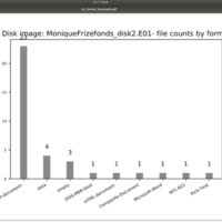 File formats histogram