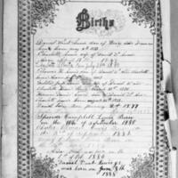Birth Records inside the Lewis Family Bible.jpg
