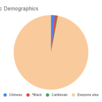1986 Ethnic Demographics (1).png