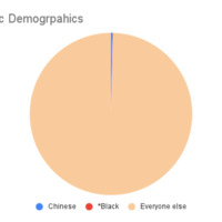 1951 Ethnic Demogrpahics (1).png