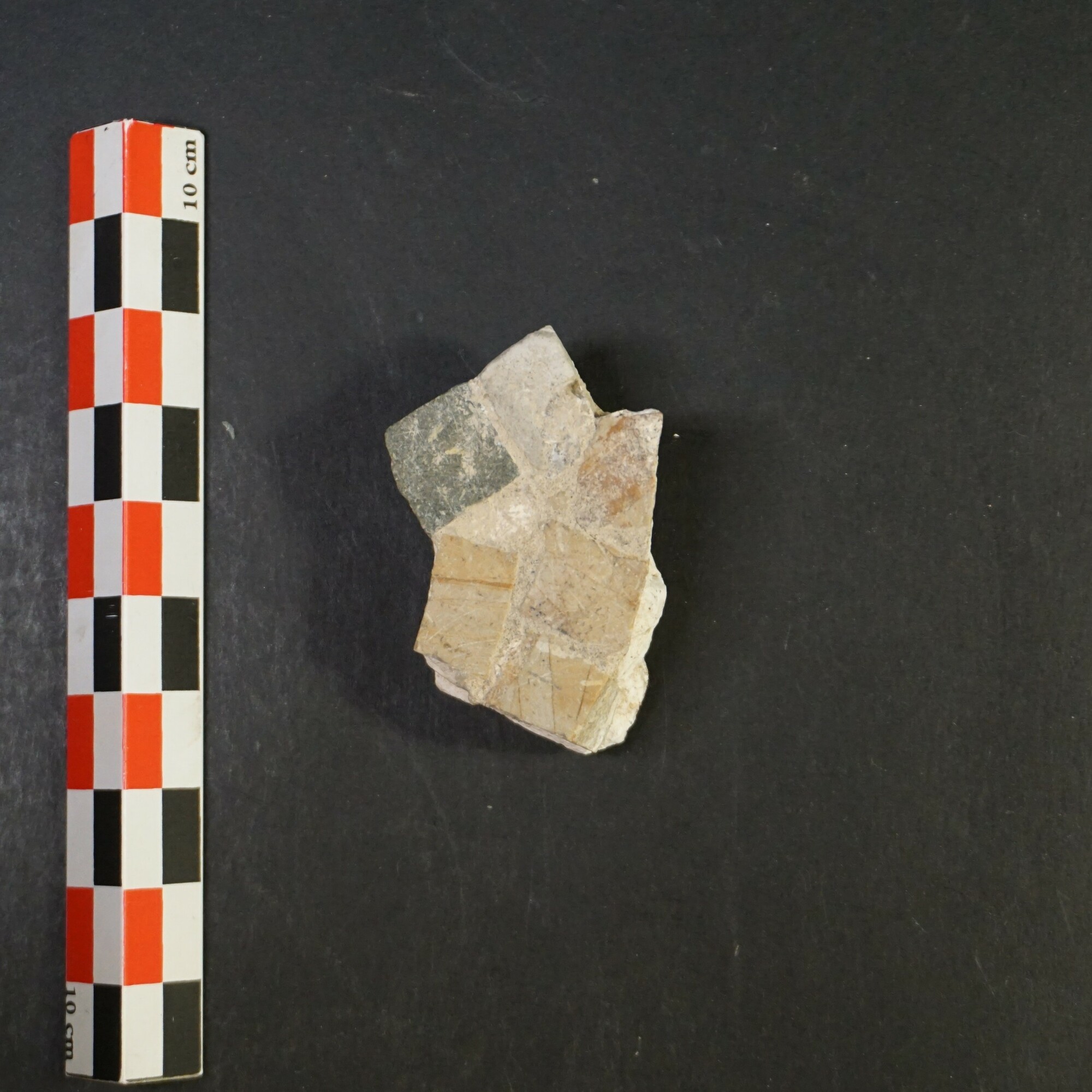 UO-MCA-2013-1-116.JPG UO-MCA-2013-1-116.JPG