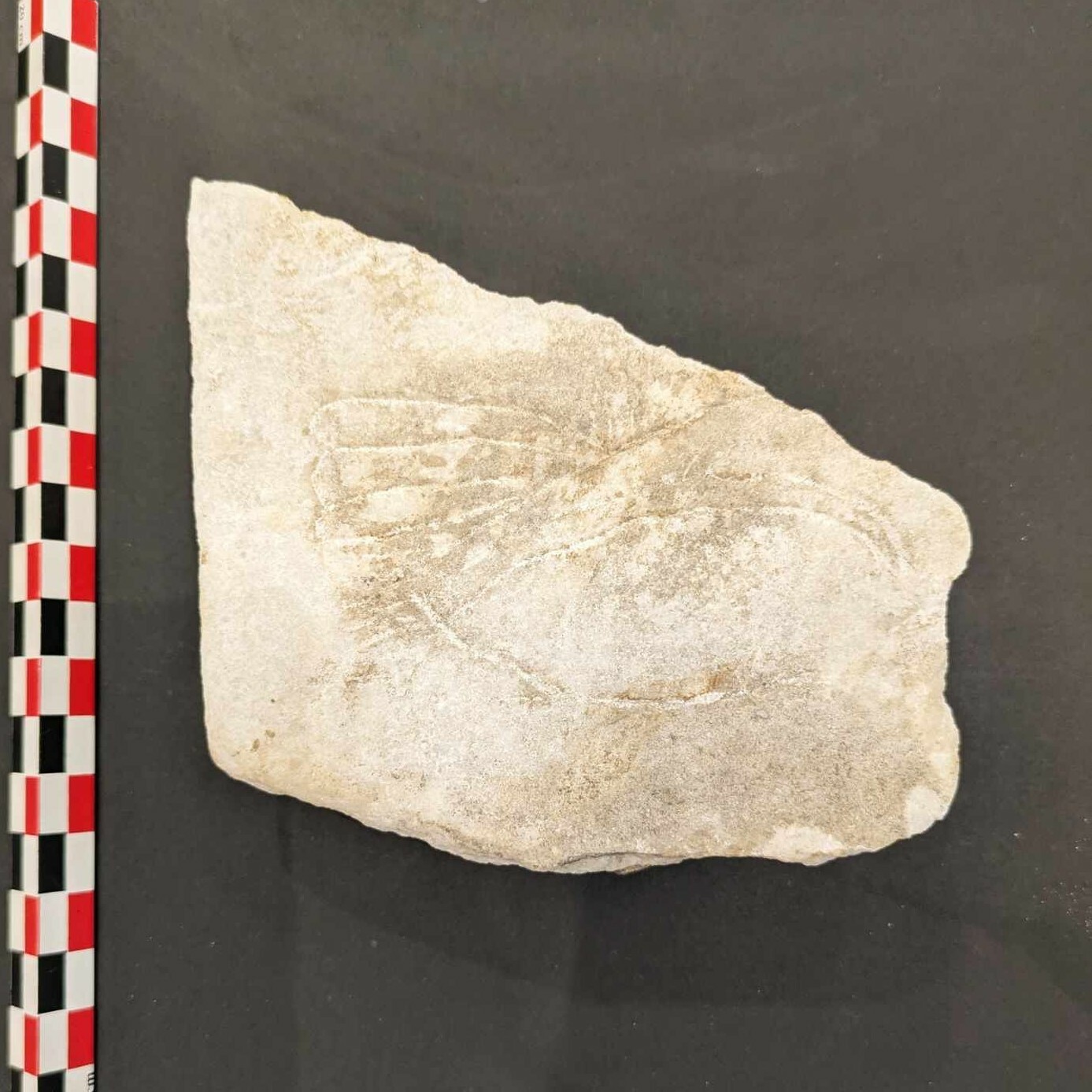 UO-MCA-2024-1-3-01.jpg UO-MCA-2024-1-3-01.jpg