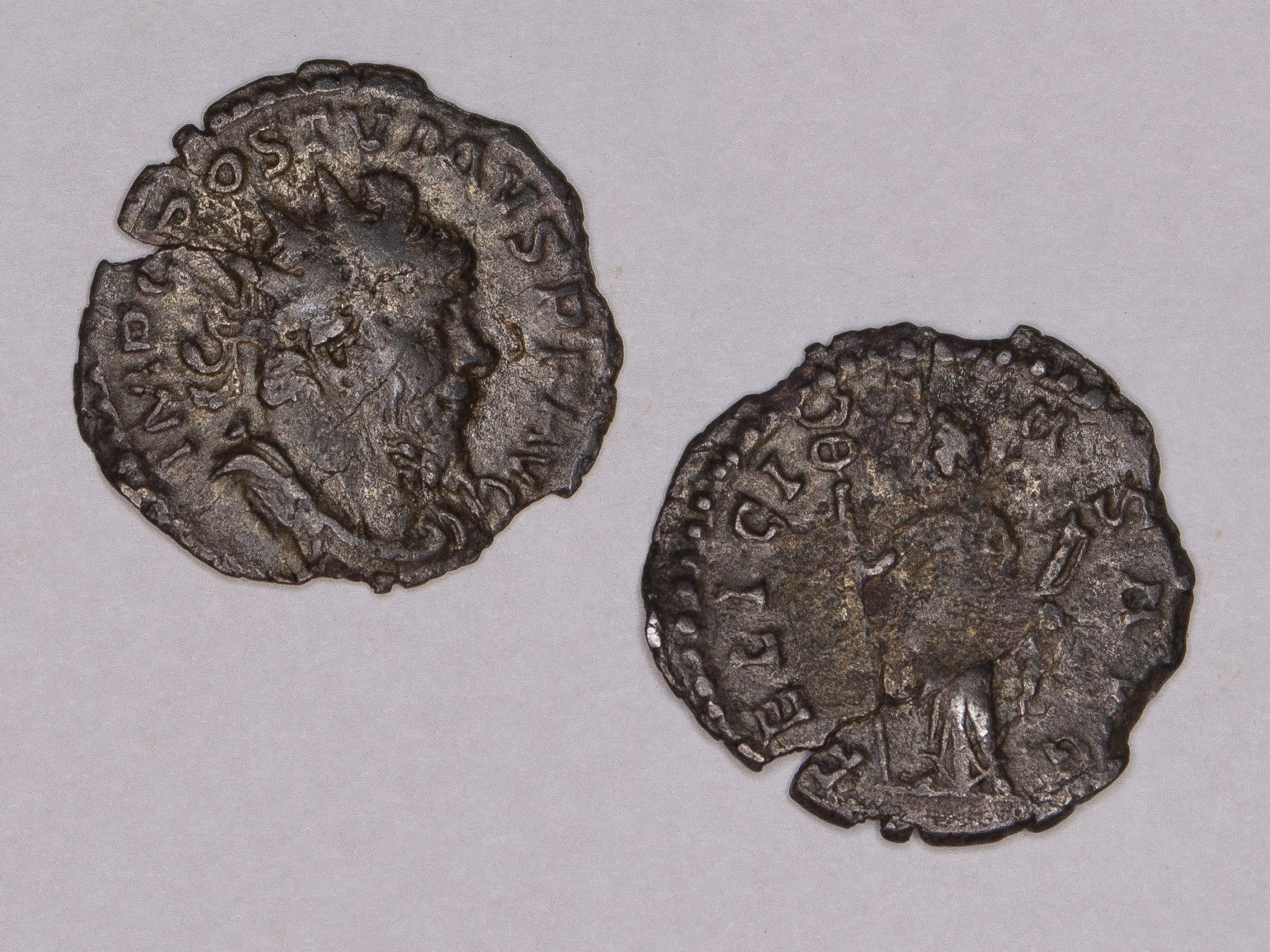 UO-MCA-986-1-14.jpg UO-MCA-986-1-14.jpg