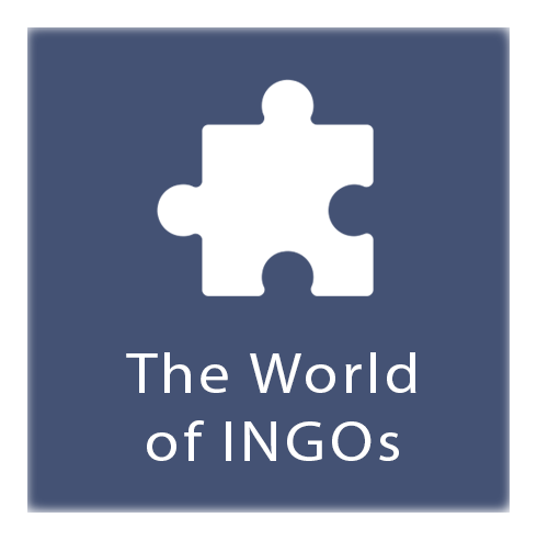 The World of INGOs