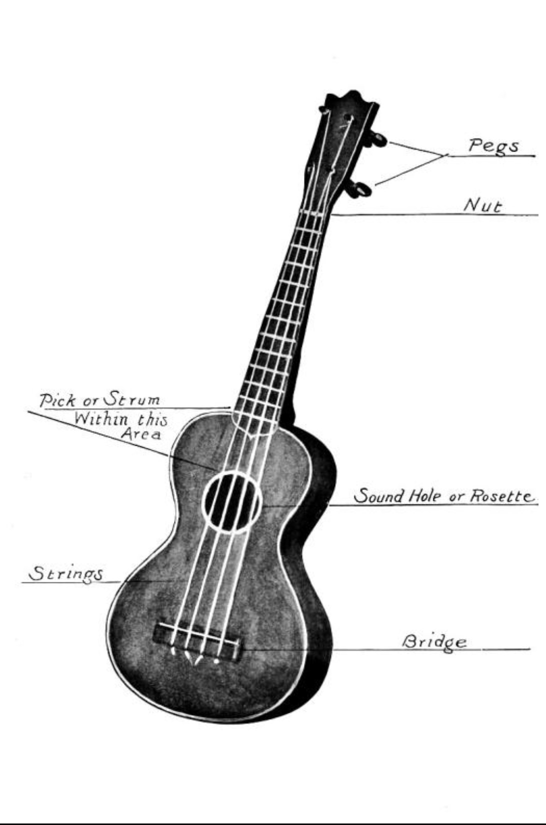 kamiki ukulele.jpg