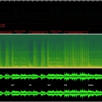 Wilson.08.Transience.sv.screenshot.annotated copy.png