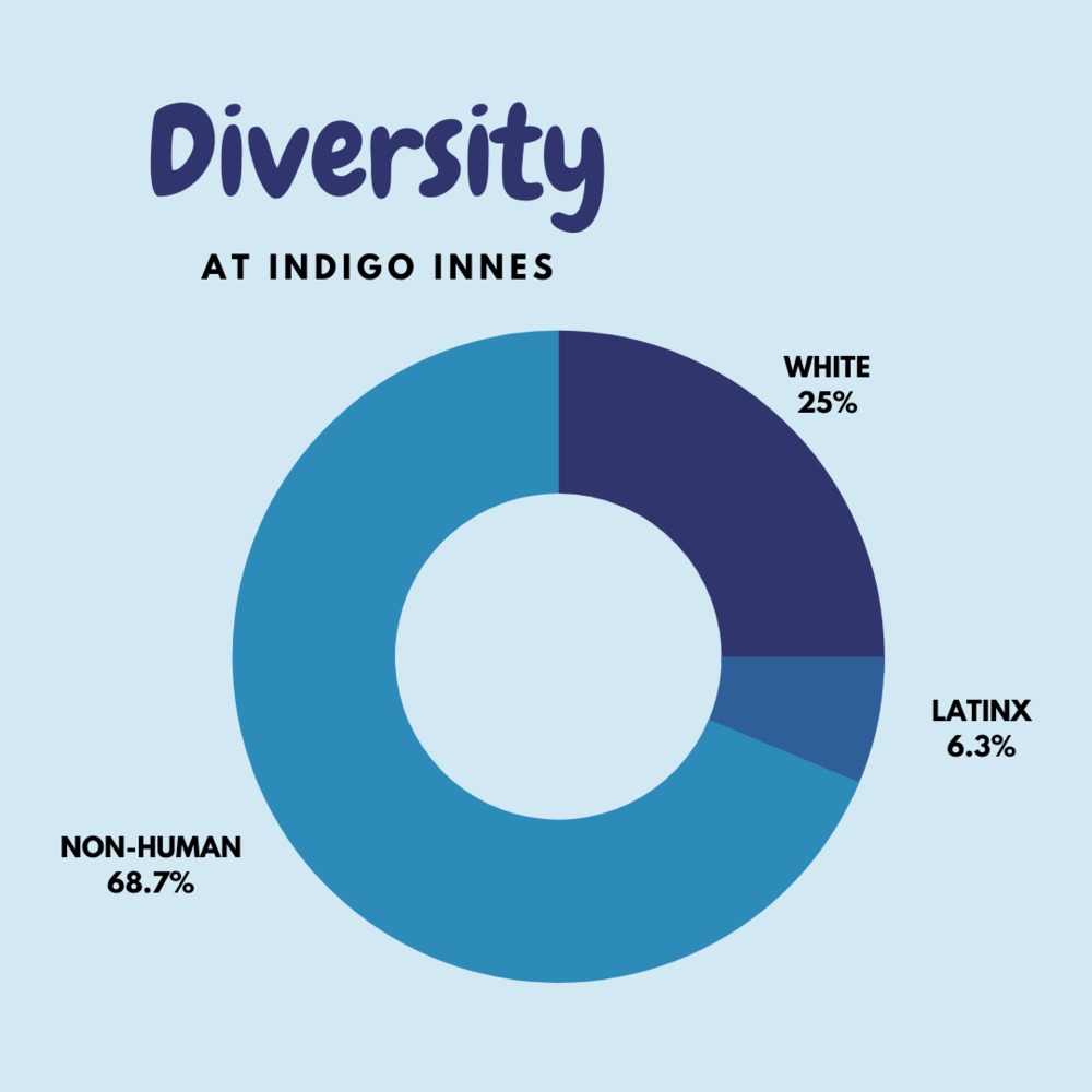 Diversity (2).png